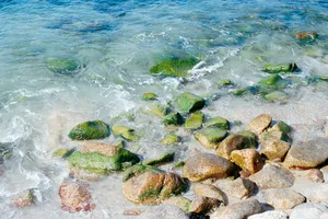 Waves gently wash over mossy rocks on a sandy shore. jigsaw puzzle
