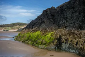 Mossy rocks on a sandy beach under a blue sky jigsaw puzzle