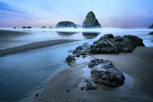 black rock formation on sea shore during daytime jigsaw puzzle