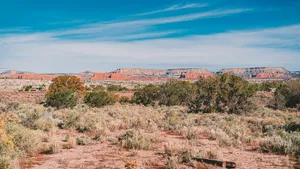 a dirt field with trees and mountains in the background jigsaw puzzle