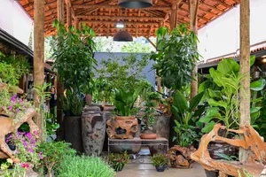 a room filled with lots of potted plants jigsaw puzzle