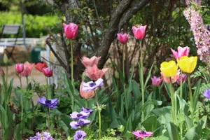 a garden filled with lots of purple and yellow flowers jigsaw puzzle