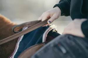 Person holding a horse's reins with a saddle jigsaw puzzle