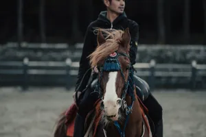 a man riding on the back of a brown and white horse jigsaw puzzle
