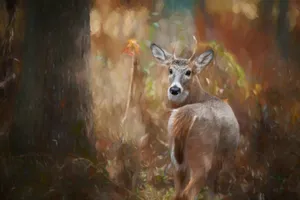 a deer standing in a forest looking at the camera jigsaw puzzle