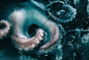 water drops on blue water jigsaw puzzle