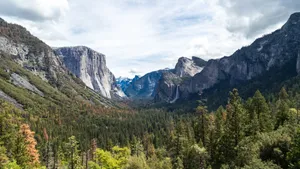 aerial photography of forest between mountains at daytime jigsaw puzzle