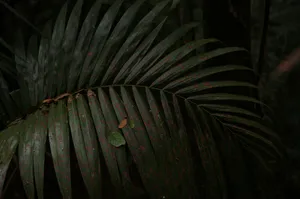 a close up of a plant jigsaw puzzle
