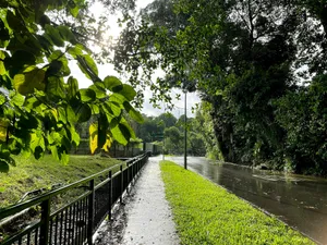 a path that is next to a river jigsaw puzzle