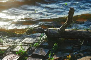 Sunlight glints on water with a log and square stones. jigsaw puzzle