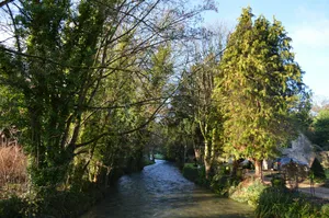A peaceful river flows through a tree-lined village. jigsaw puzzle