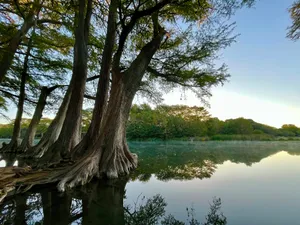 a body of water surrounded by trees and grass jigsaw puzzle