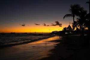 a sunset on a beach with palm trees jigsaw puzzle