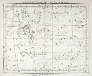 Celestial map showing constellations orion and canis major. jigsaw puzzle