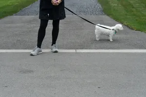 person in black pants and black jacket walking on street with white long coat small dog jigsaw puzzle