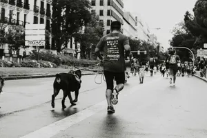 person running with dog at the road jigsaw puzzle