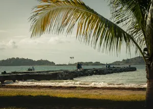 A palm frond frames a pier extending into the ocean. jigsaw puzzle