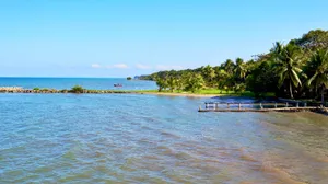 Tropical beach with palm trees and clear blue water jigsaw puzzle