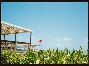 Beachside structure with flags and lush greenery under blue sky jigsaw puzzle
