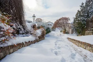 Snowy path with footprints leading through trees jigsaw puzzle