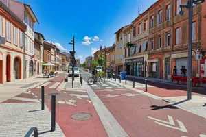 A vibrant street with red bike lanes and historic buildings. jigsaw puzzle