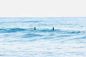 Two surfers are waiting in the ocean. jigsaw puzzle