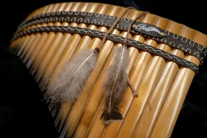 a close up of a musical instrument with feathers on it jigsaw puzzle