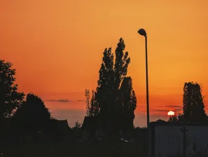 The sun is setting behind a street light jigsaw puzzle