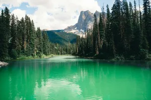 Vibrant green lake with pine forests and a majestic mountain. jigsaw puzzle