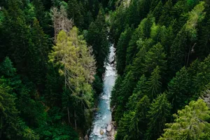 Stunning aerial image of a river cutting through a dense green forest. jigsaw puzzle