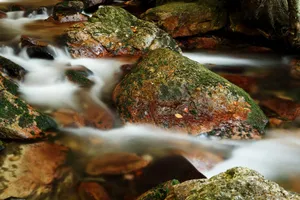 Peaceful stream cascading over moss-covered rocks, capturing the beauty of nature's tranquility. jigsaw puzzle