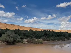 Breathtaking view of a lush oasis amidst the Moroccan desert under a bright blue sky. jigsaw puzzle