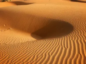 Golden sand dunes with rippled patterns in Yusufari, Nigeria, captured under soft sunlight. jigsaw puzzle