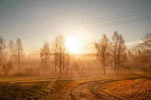 Beautiful foggy autumn sunrise in Straupe, Latvia showcasing warm tones and serene rural landscape. jigsaw puzzle