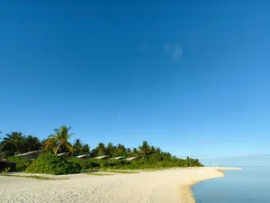 Serene tropical beach on Naalaafushi Island with palm trees and turquoise waters in the Maldives. jigsaw puzzle