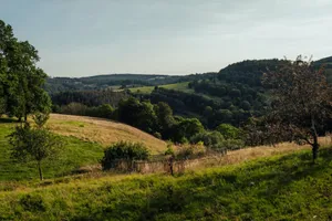 A beautiful rural scene showcasing rolling hills and lush greenery in a serene summer setting. jigsaw puzzle