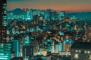 tokyo jigsaw puzzle