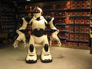 robot jigsaw puzzle