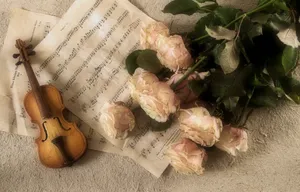 violin jigsaw puzzle