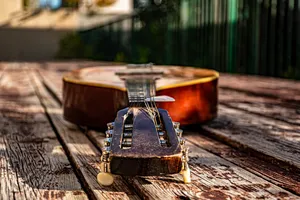 mandolin jigsaw puzzle