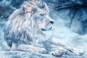 lion jigsaw puzzle