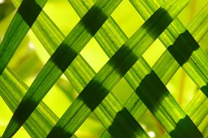 leaves jigsaw puzzle