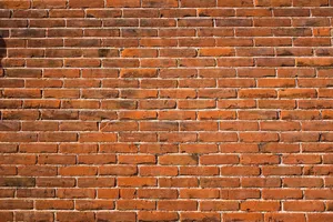 brick wall jigsaw puzzle