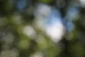 bokeh jigsaw puzzle