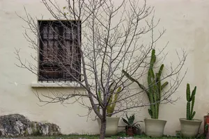 window jigsaw puzzle