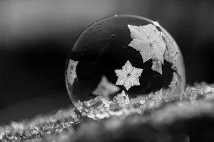 snowflakes jigsaw puzzle
