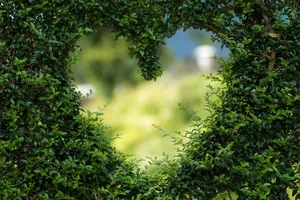 valentines day background jigsaw puzzle