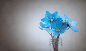 liverflower jigsaw puzzle