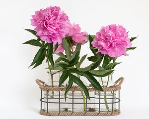 peonies jigsaw puzzle