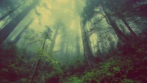 green leafed trees jigsaw puzzle